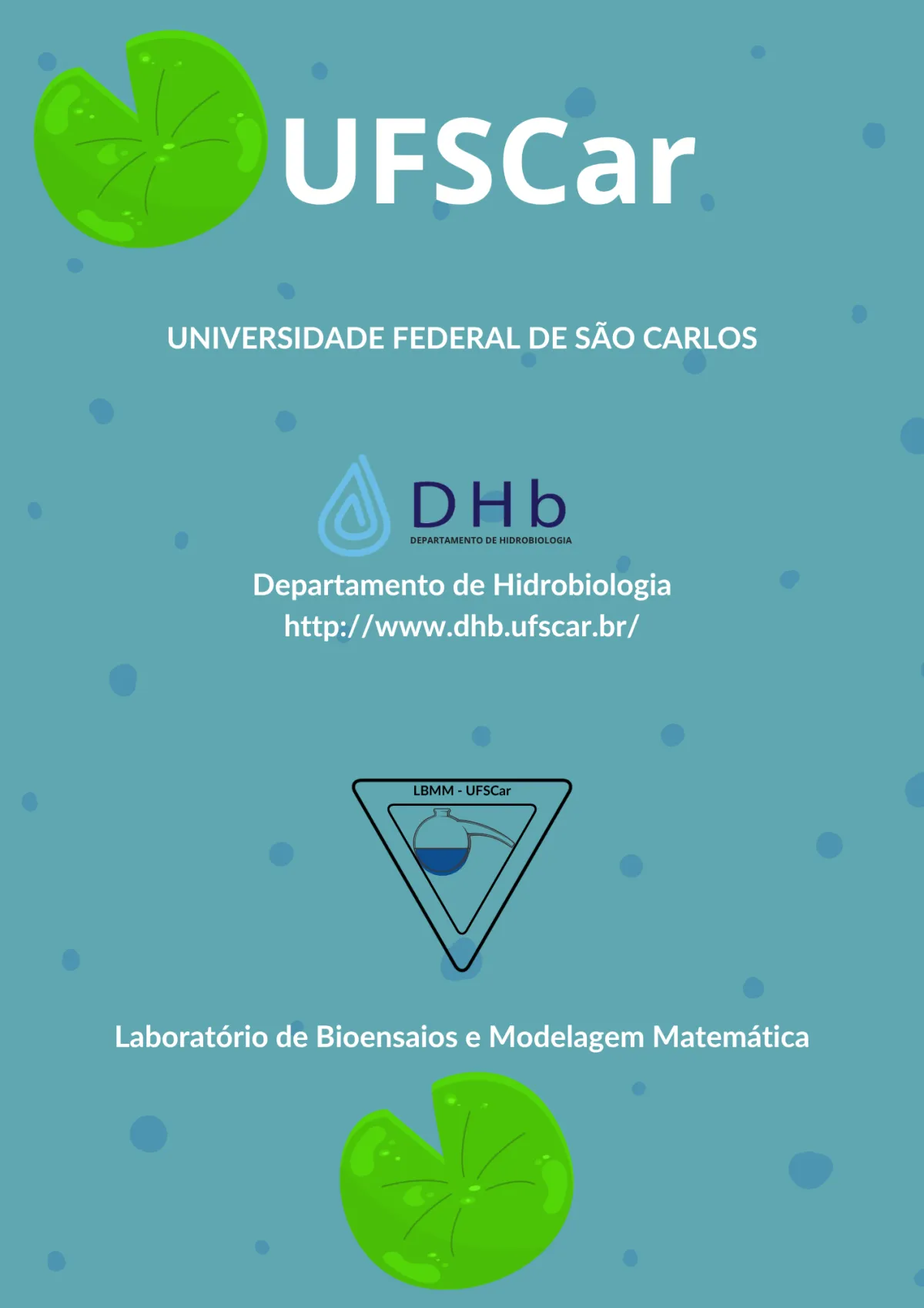 Atividade: um lago com macrófitas em 3D, página 2 de 12