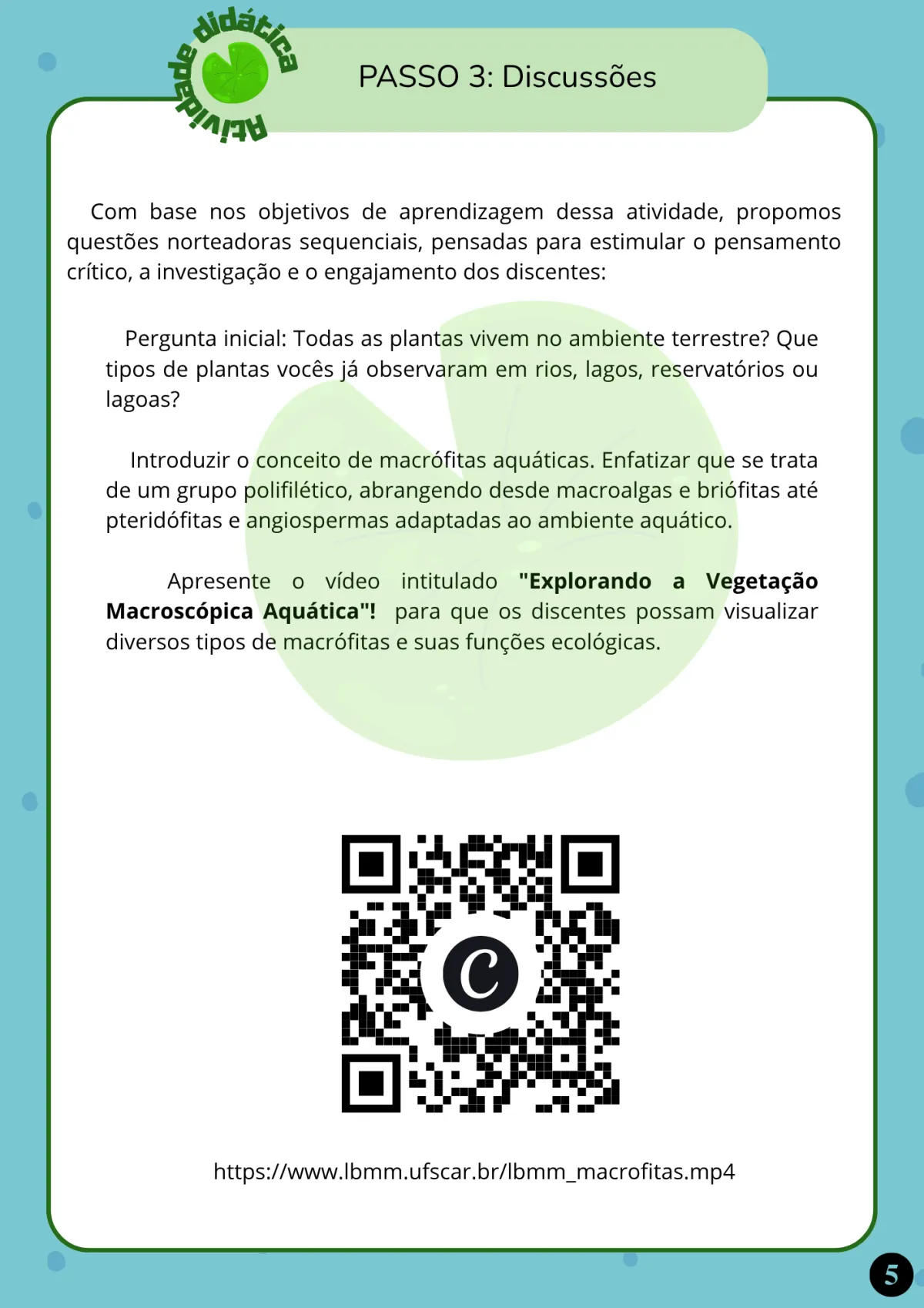 Atividade: um lago com macrófitas em 3D, página 7 de 12