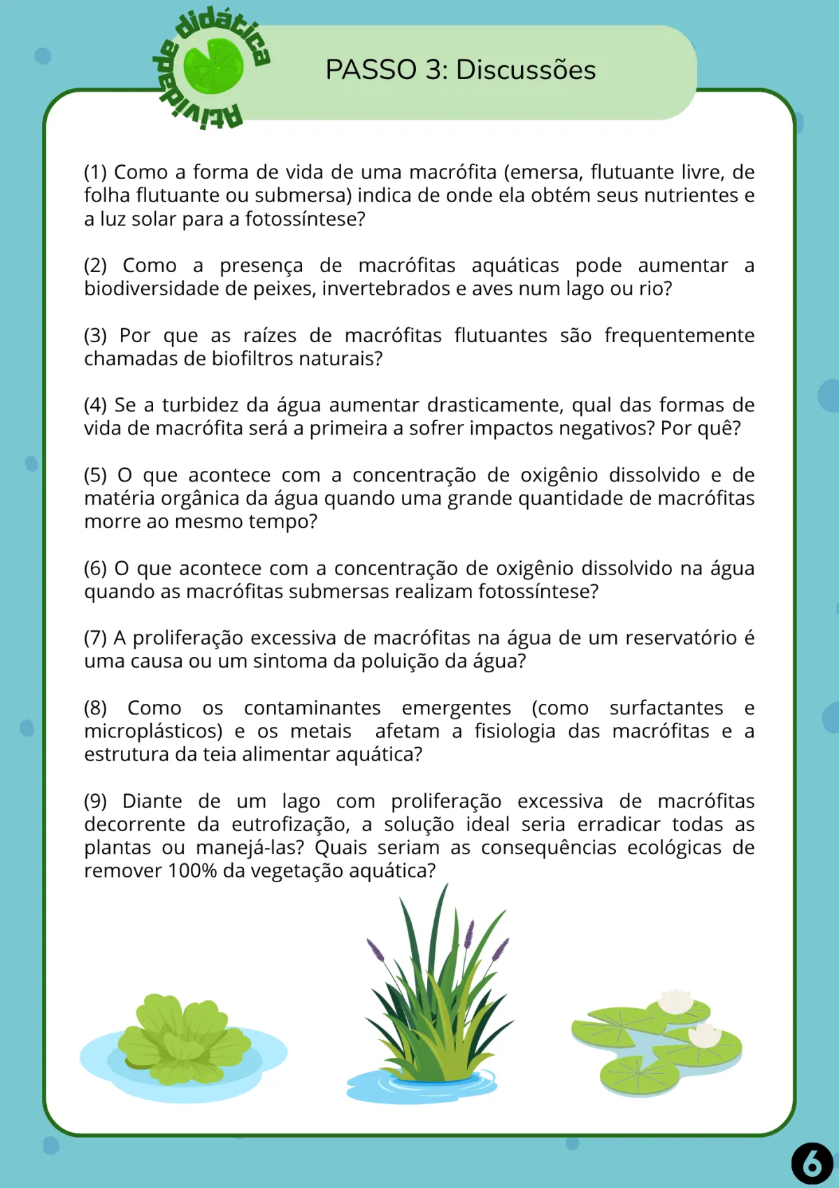 Atividade: um lago com macrófitas em 3D, página 8 de 12