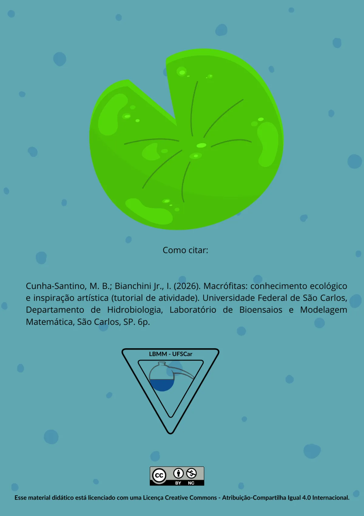 Atividade: um lago com macrófitas em 3D, página 12 de 12