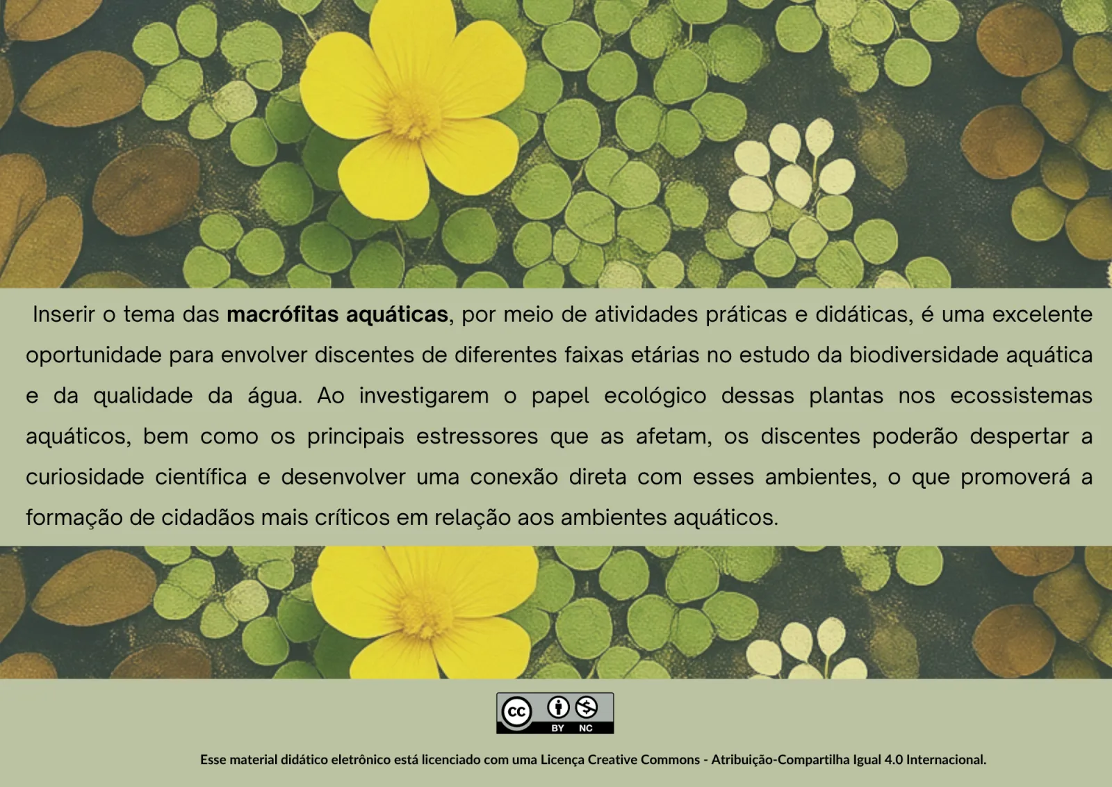 Slides de aula, slide 2 de 10