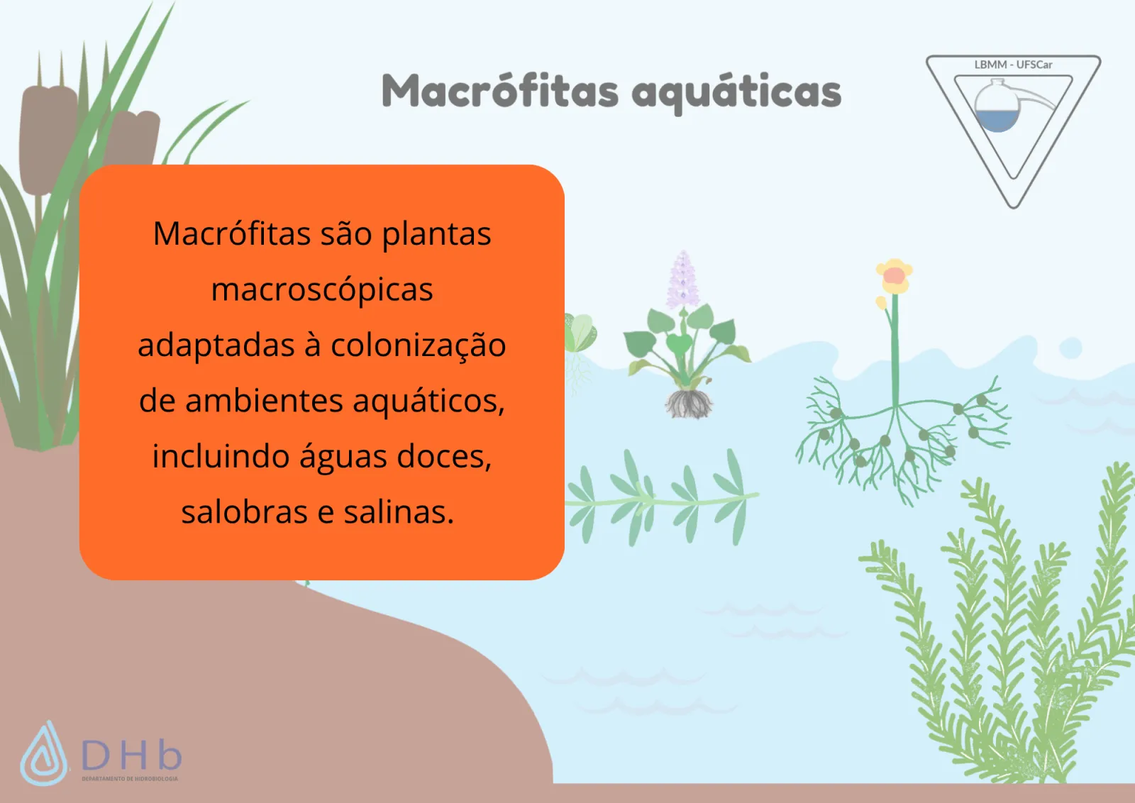Slides de aula, slide 4 de 10