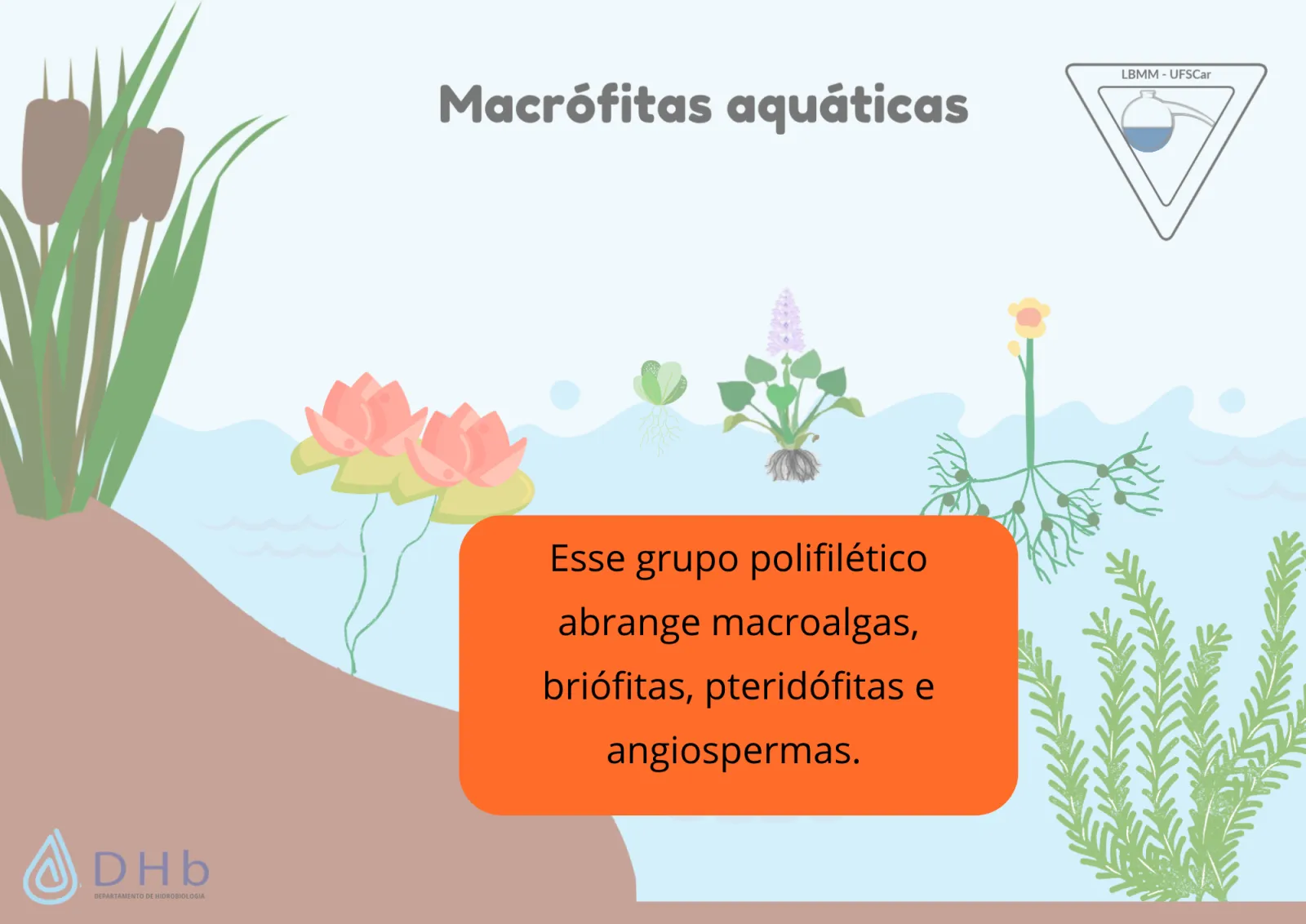 Slides de aula, slide 5 de 10