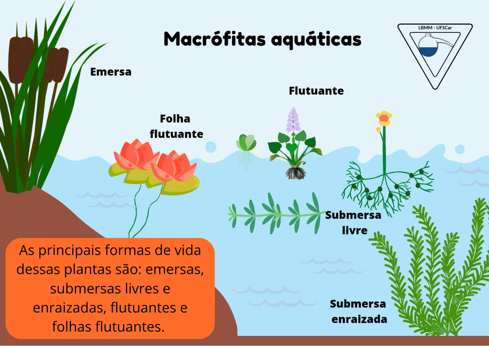 Slides de aula, slide 6 de 10