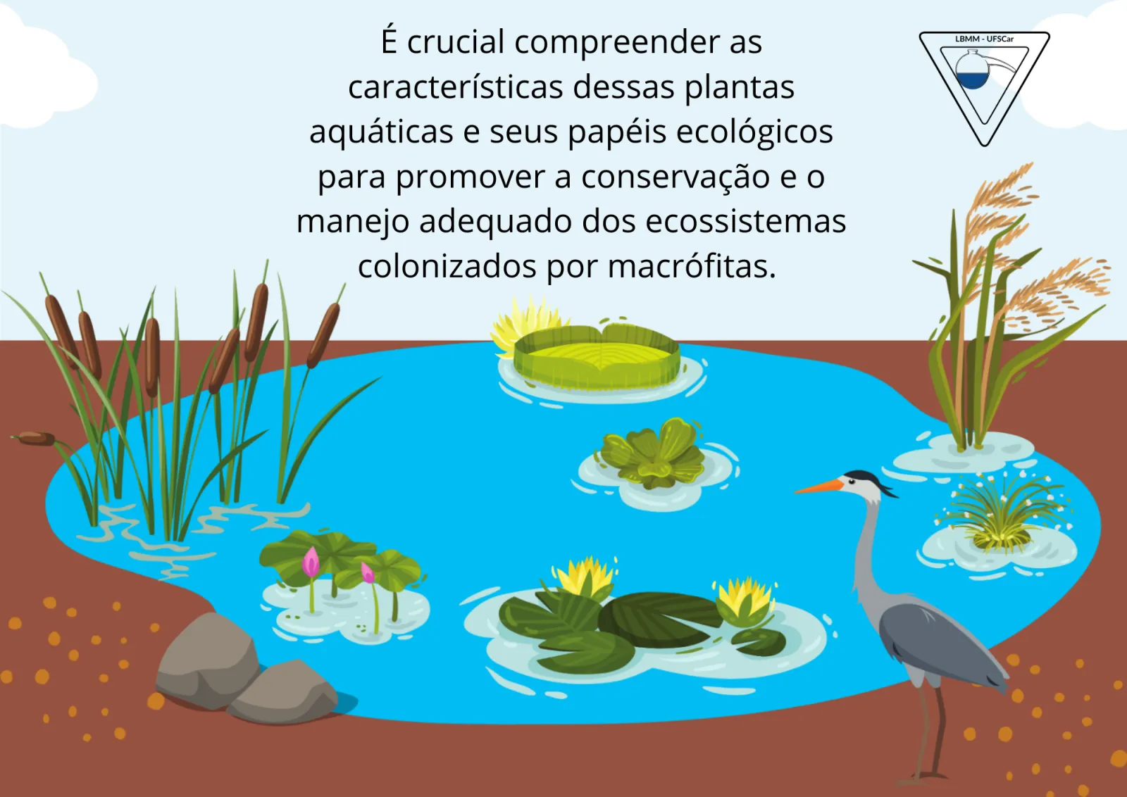 Slides de aula, slide 9 de 10