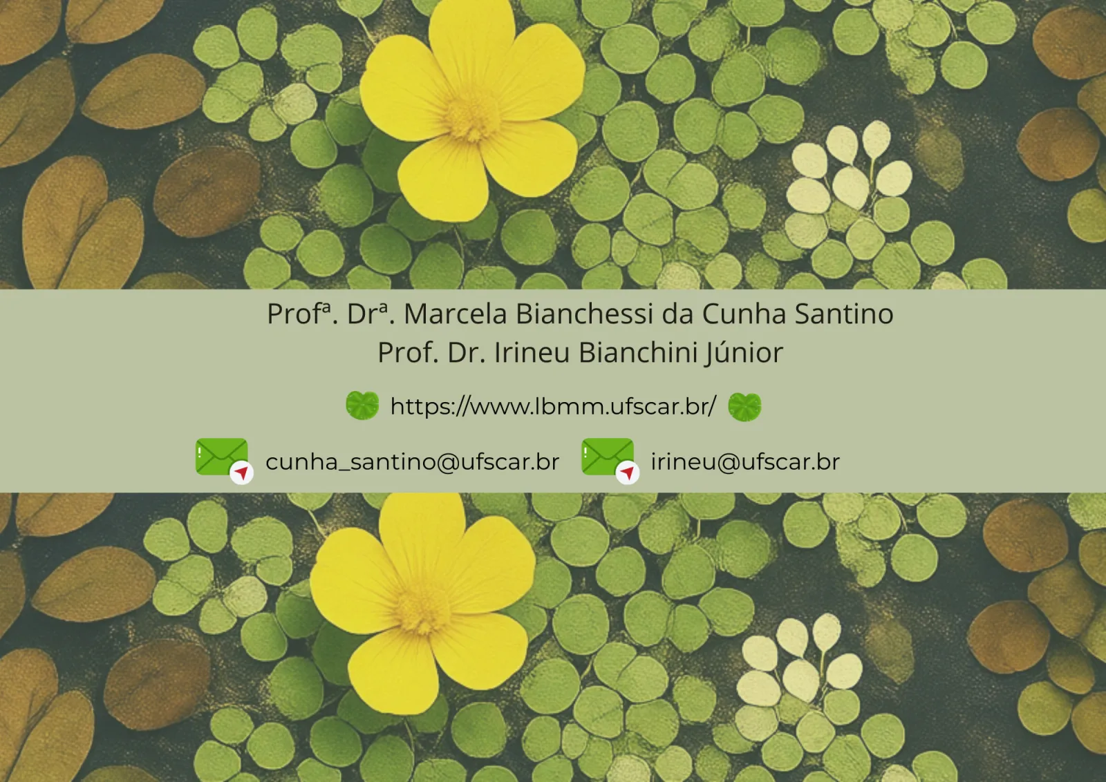 Slides de aula, slide 10 de 10