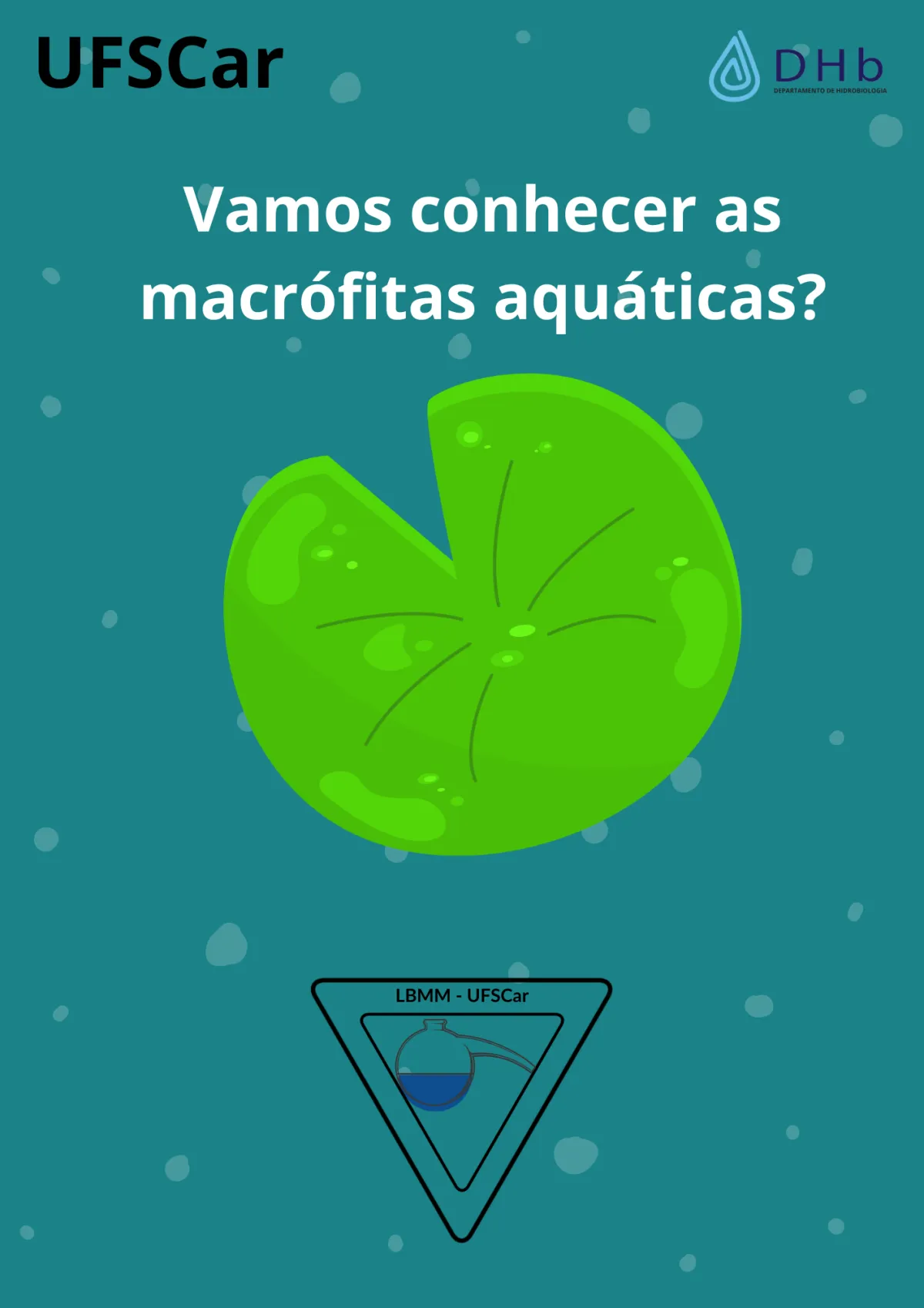 Avaliação: o jogo das macrófitas, página 2 de 13