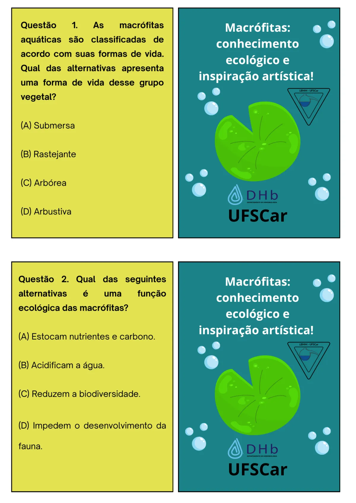 Avaliação: o jogo das macrófitas, página 4 de 13