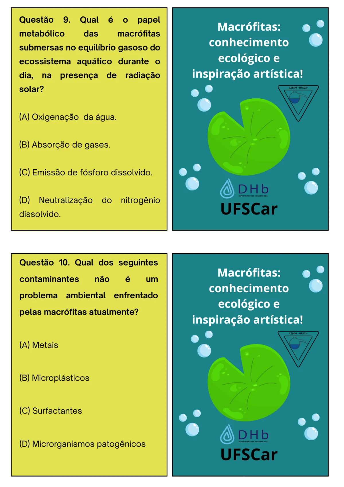 Avaliação: o jogo das macrófitas, página 8 de 13