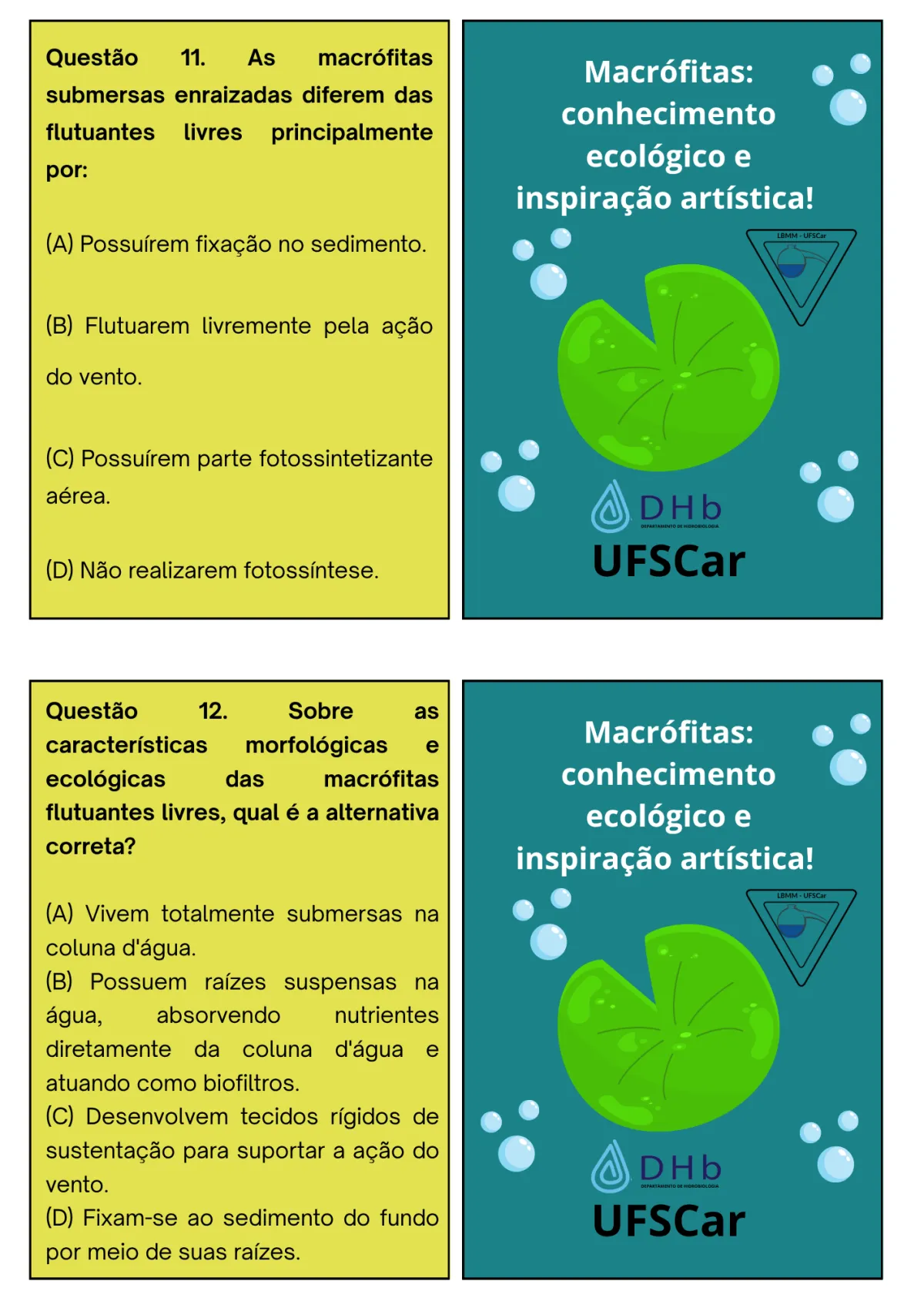 Avaliação: o jogo das macrófitas, página 9 de 13