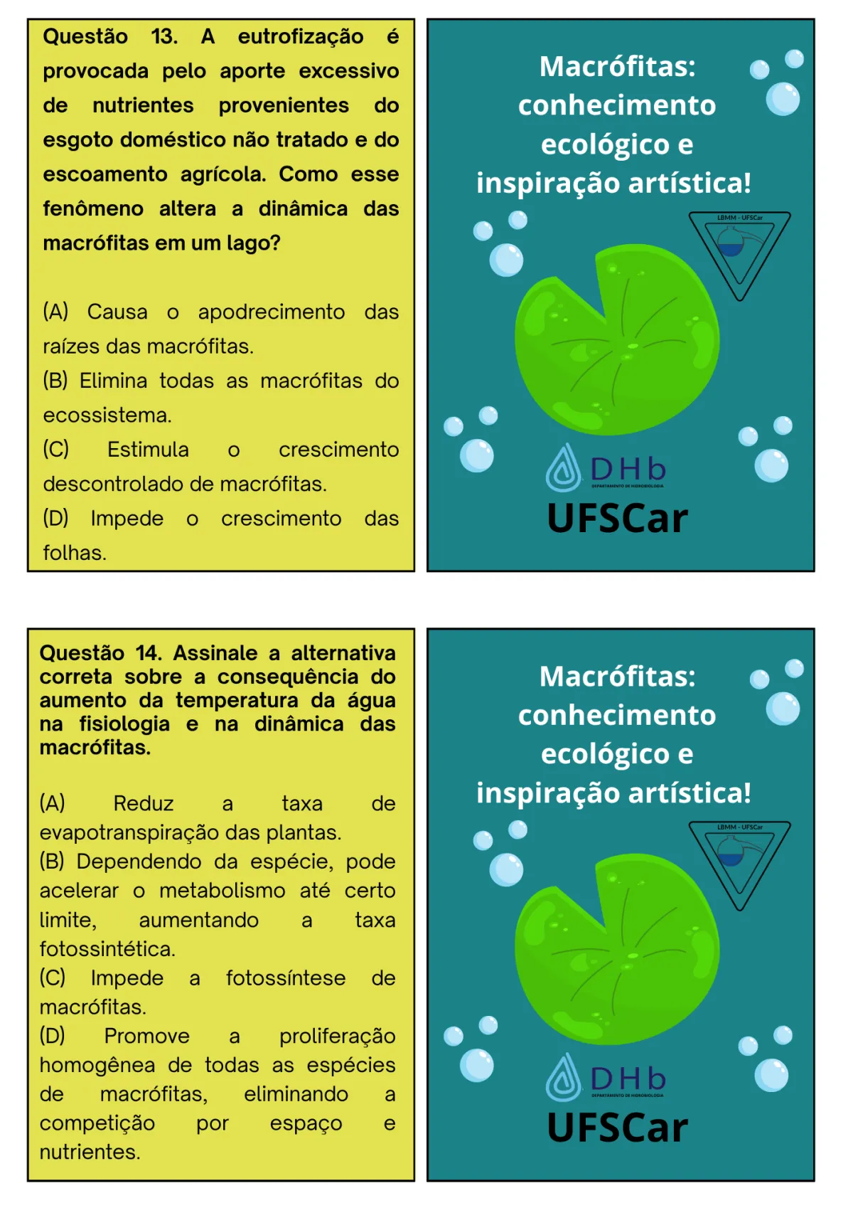 Avaliação: o jogo das macrófitas, página 10 de 13