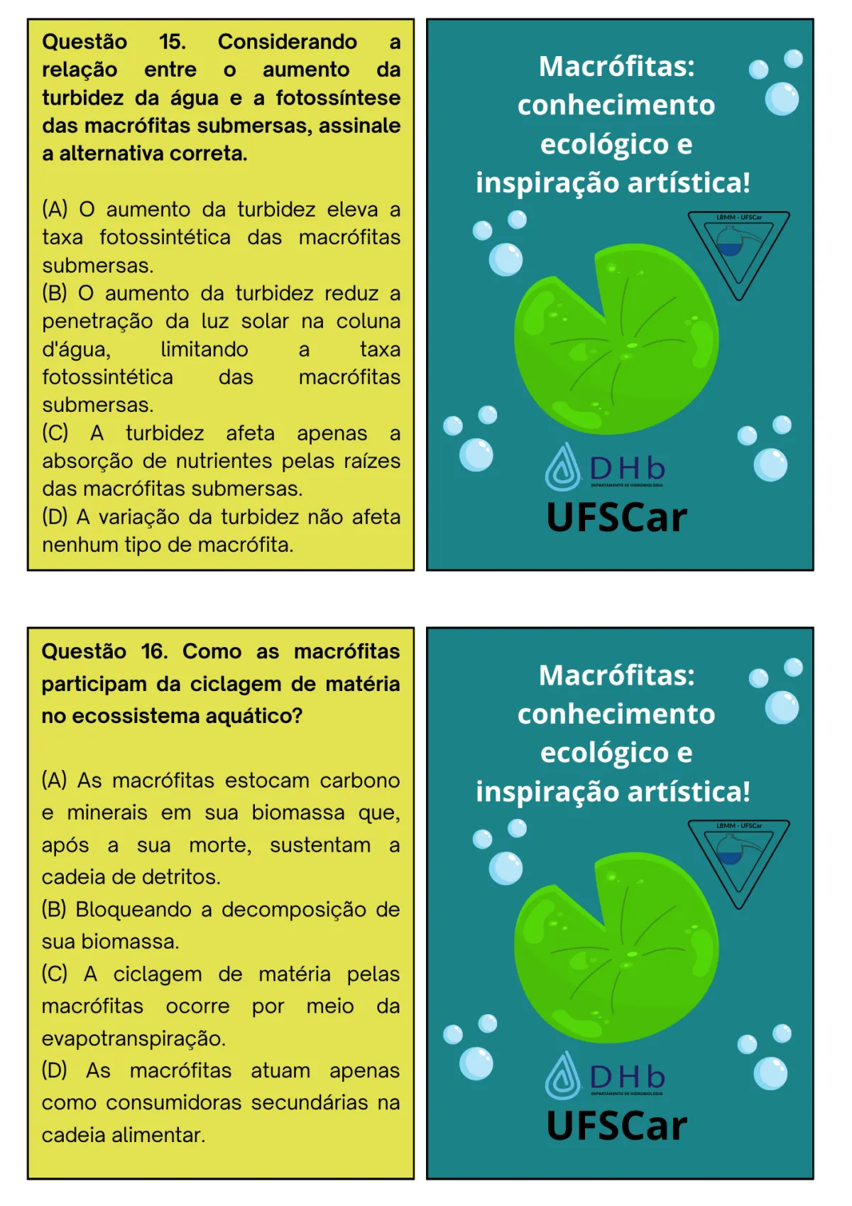 Avaliação: o jogo das macrófitas, página 11 de 13