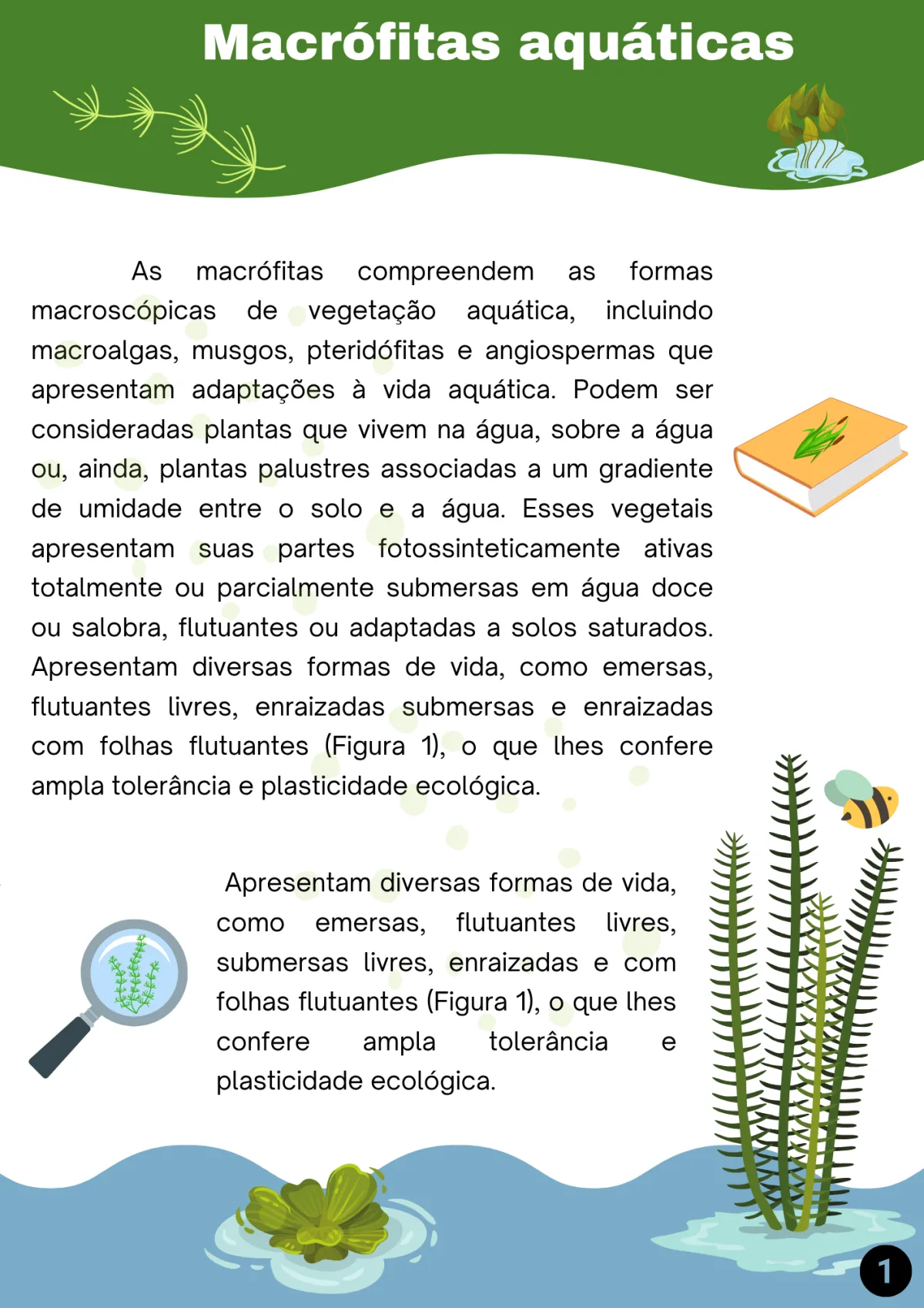 Livreto teórico, página 4 de 10