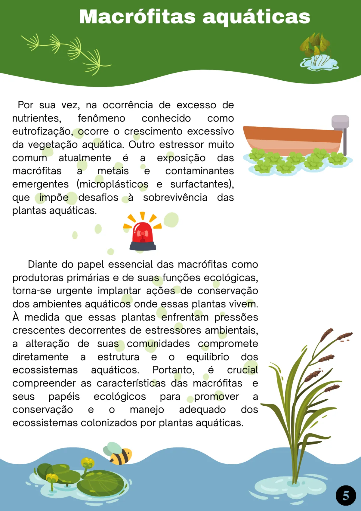 Livreto teórico, página 8 de 10